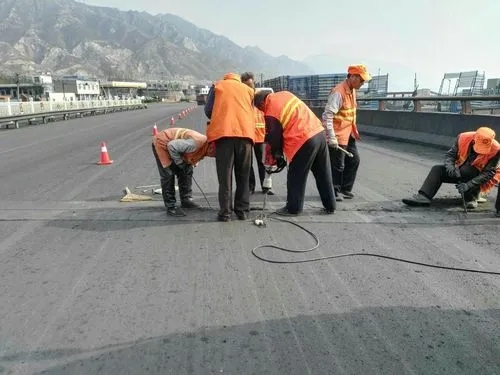 后湖管理区道路桥梁病害治理