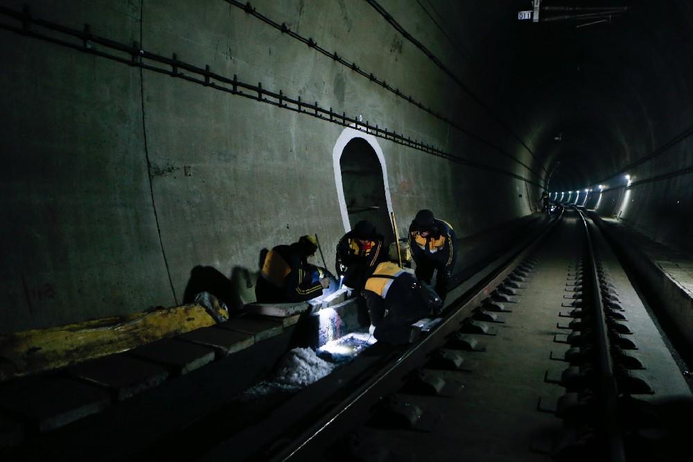 后湖管理区铁路运营隧道病害现状